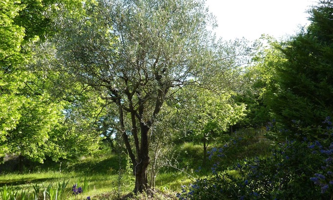 Nyons Cottage | NYONS Logis autonome pour 4 à 6 pers dans un Mas calme aux senteurs de Provence