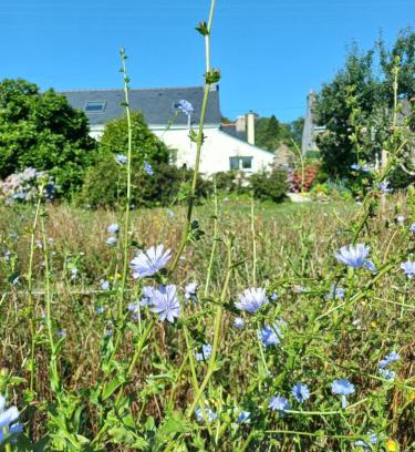 Scaer Maison | O'TY'ZOISEAUX - Plus proche de la nature - Meublé tourisme classé 4 étoiles