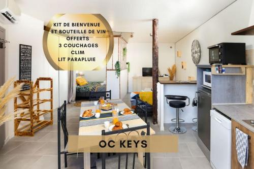 Villasavary Appartement | O villa* Studio avec clim et calme *Wifi*