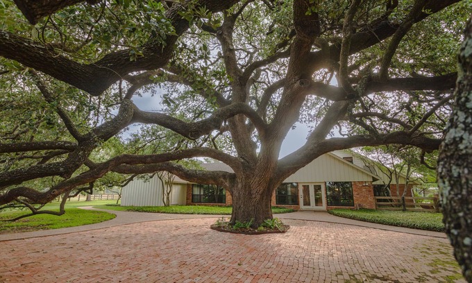 Waco Maison | Oak Tree Manor w/ Pool