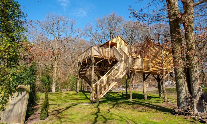 Upper Harbledown Cabine | Oakside Tree Tops