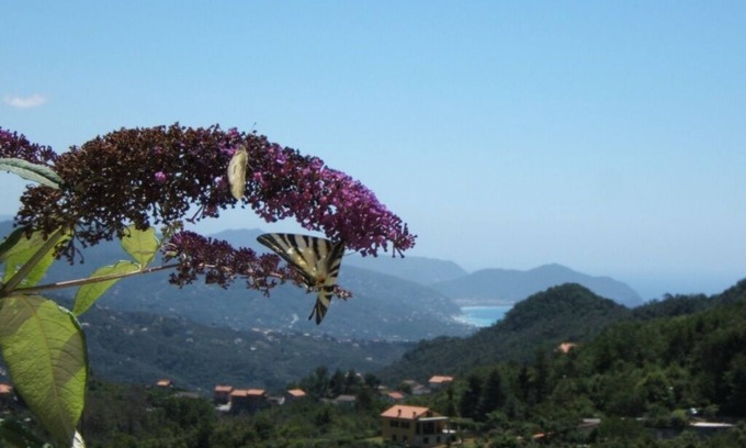 San Colombano Certenoli Appartement | Oasis de détente entre colline et mer! Entre Portofino et les Cinque Terre