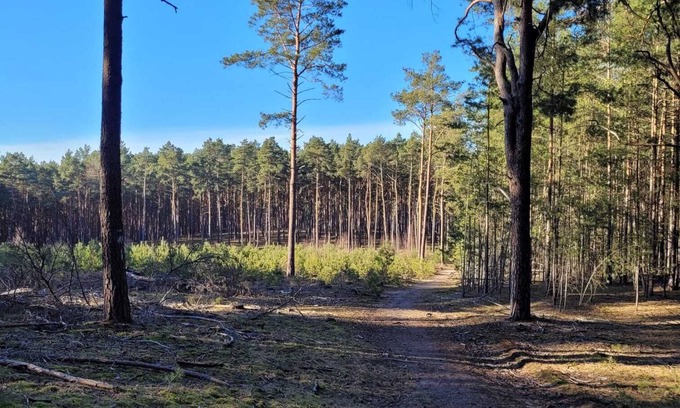 Baruth/Mark Appartement | Oasis of peace Waldblick