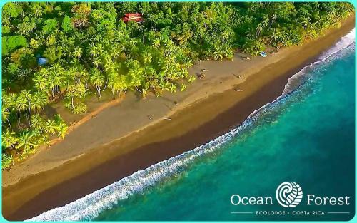 Palma Hôtel | Ocean Forest Ecolodge