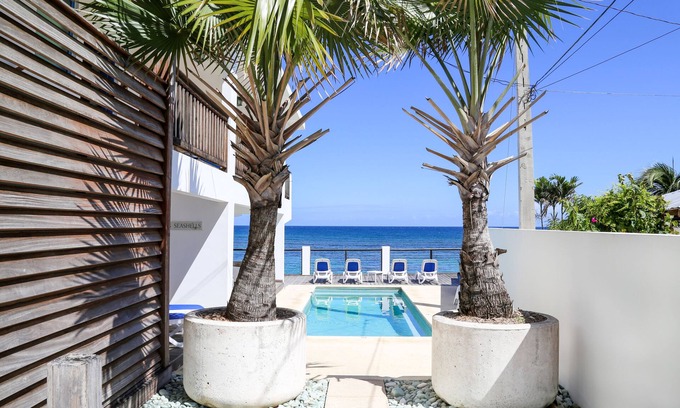 Aguacate Appartement | Ocean Front w / piscine d'eau salée