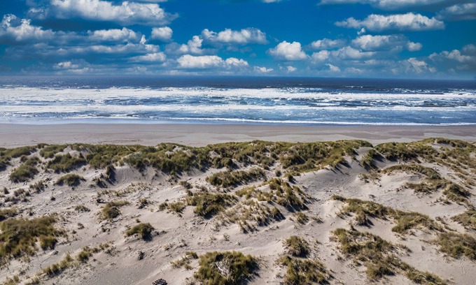 McKinleyville Maison | Ocean's Edge - Tropical Oceanview Oasis