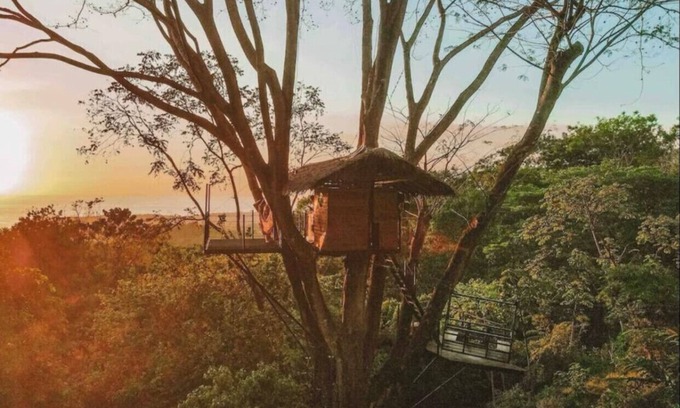 Ballena Cabine | Oceanview Jungle tree house