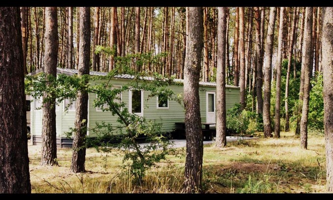 Grudziadz Maison | Odpocznij w Lesie