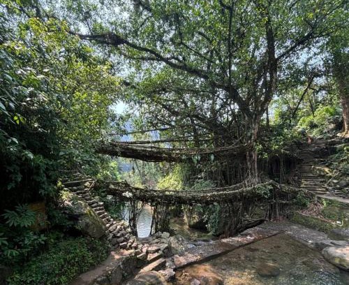 Sohra Maison | Odyssey Stays Nongriat - 3Kms trek from Main Road