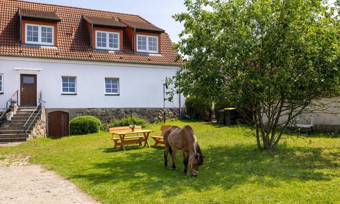 Kroepelin Appartement | OFC 31 Familie Harz 2 - Ferienwohnung Flori´s Ponyhof