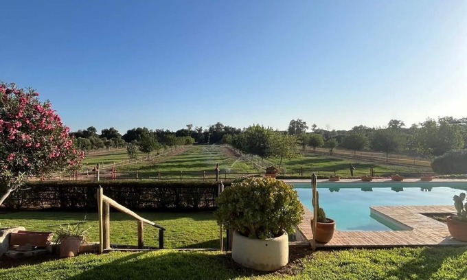 Villamanrique de la Condesa Maison | OLIVE GROVE OF GATOS FARM