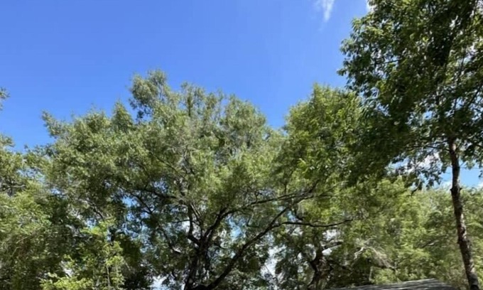 Fort McCoy Cabine | Old Glory at The Tree'Ke Resort - Cabin #1