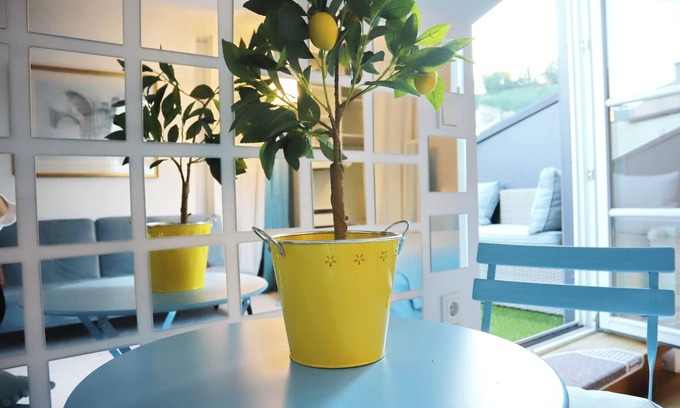 Altstadt Appartement | Old town. Studio with a Castle View. Roof terrace