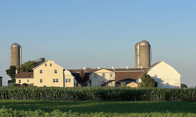 Witmer Hôtel | Olde Amish Inn