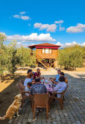 Zeytinli Autre | Oli Camping & Bungalows