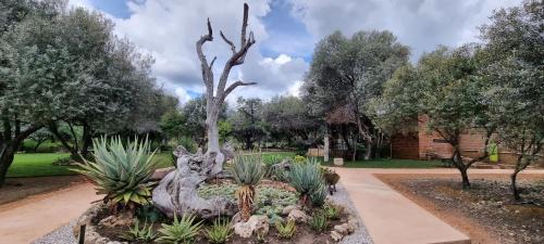 Otavi Maison | Olienhoff Guesthouse and Rest Camp