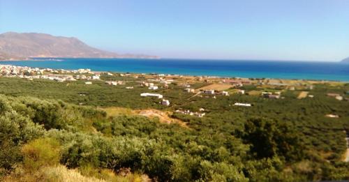 Kissamos Maison | OLIVE BREEZE