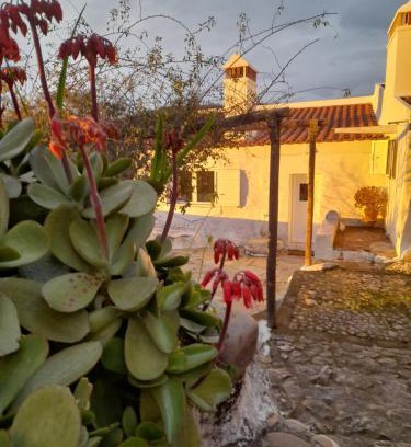 Portalegre Maison | Olive -Casa da Boavista