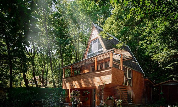 Kismaros Maison | Olive Tree Forest Cabin Original