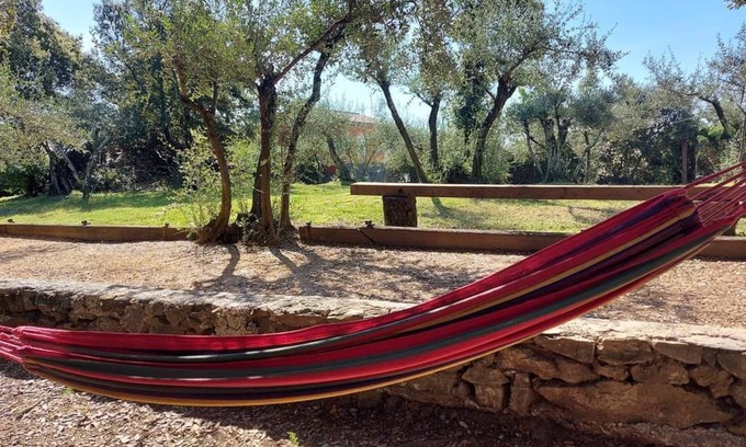 Tornac Maison | Olive trees