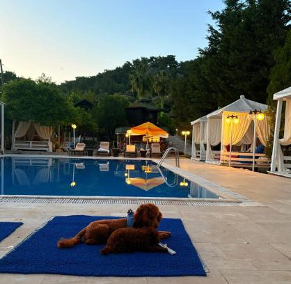 Olympos Station Balnéaire | Olympos Talara by Arzum