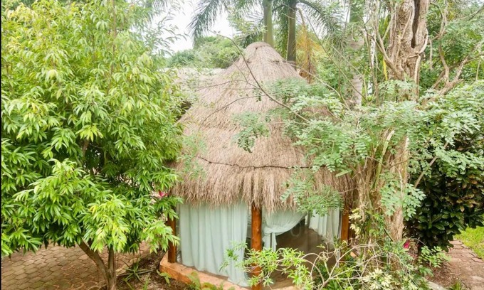 Alfredo V. Bonfil Appartement | OMA CANCUN - Holistic Healing Center