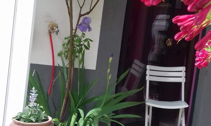 Mutzig Appartement | Sur la route des vins Studio entre Strasbourg et Colmar
