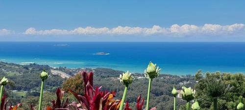 Korora Appartement | ON TOP Of THE WORLD Garden Studio