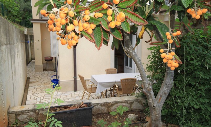 Nerezine Appartement | Appartement d'une chambre avec la terrasse Nerezine, Losinj (A-2518-c)