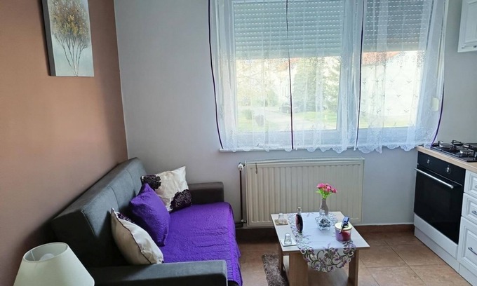 Vukovar Appartement | One bedroom apartment with air-conditioning Vukovar, Slavonija (A-24797-a)