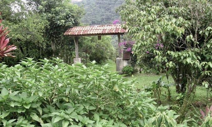 Cachi Cabine | Une chambre cabine Sur deux cents acres au Costa Rica