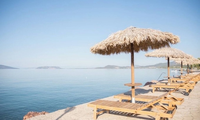 Thermisia Appartement | One-Bedroom Apartment with Sea Views and Olive Grove Serenity for Up to 4 Guests