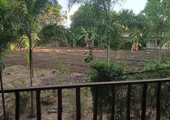 Sigiriya Maison | One More Night Homestay