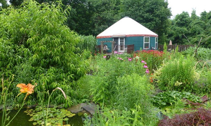 Newfield Cottage | Yourte confortable et unique entourée de cascades