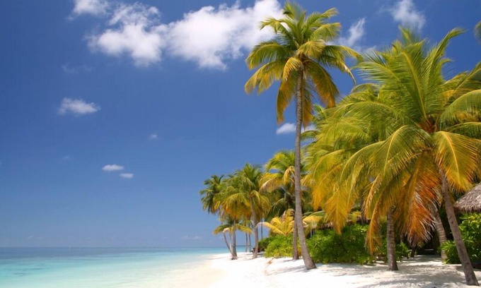 Key Colony Beach Copropriété | Une des plus belles plages privées aux États-Unis! Très bien situé pour le plaisir des activités-Wifi