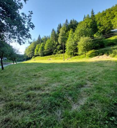 Kolarovice Autre | Only Meadow - place for camping