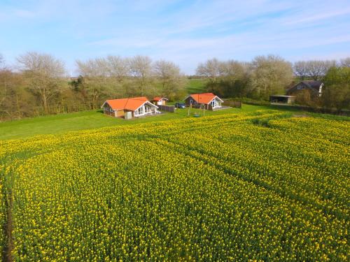 Fedderswarf Maison | Op Lundingland