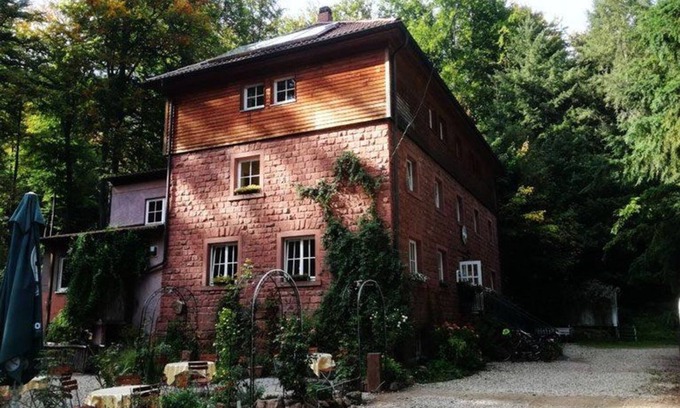 Wachenheim an der Weinstrasse Lit Et Petit-Déjeuner | Oppauer Haus - 102 Vierbettzimmer, Dusche, WC