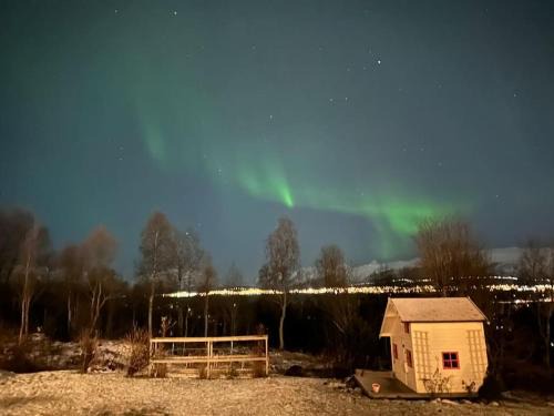 Tromso Appartement | Oppdag Tromsø fra vår leilighet!