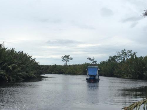 Kumai Location De Bateaux | Orangutan Shaka Houseboat with cabin