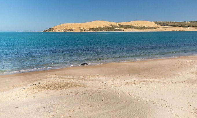 Omapere Maison | Orca Beach Watch