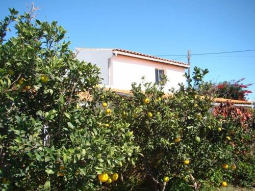 Granadilla de Abona Appartement | Orchard Cottage