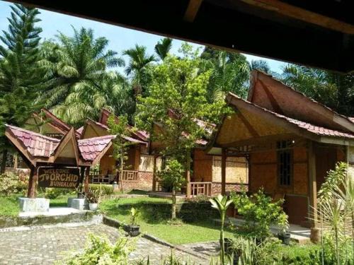 Bohorok Maison | Orchid Bugalows.