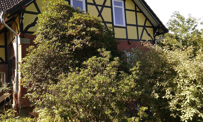 Bad Sachsa Maison | Maison de vacances biologique avec une vue magnifique - idéale pour les familles et les groupes d'amis