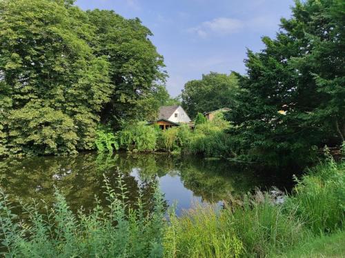 Gelbensande Appartement | Ostsee Jägerhütte am Waldesrand mit Sauna