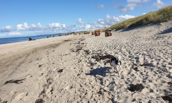 Ribnitz-Damgarten Appartement | Ostsee, Strand & Me(e)hr erleben, Speziell für Familien, Fe/wo "Sunny" am Bodden/Fischland/Ribnitz