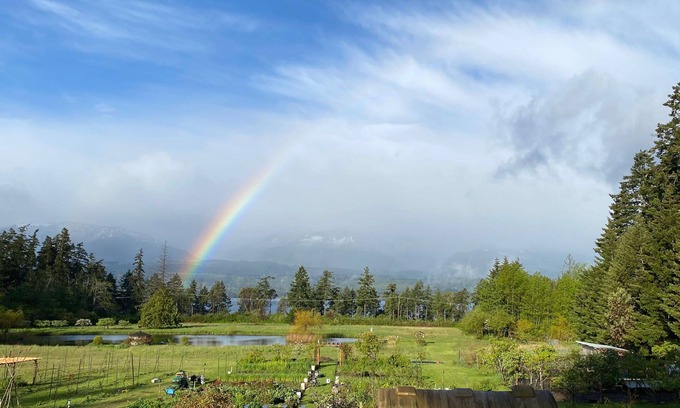 Denman Island Maison | Otter Lake B&B, Denman Island, BC, Canada family friendly, coastal