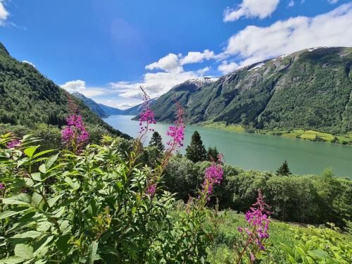 Hermansverk Appartement | Over the Fjord