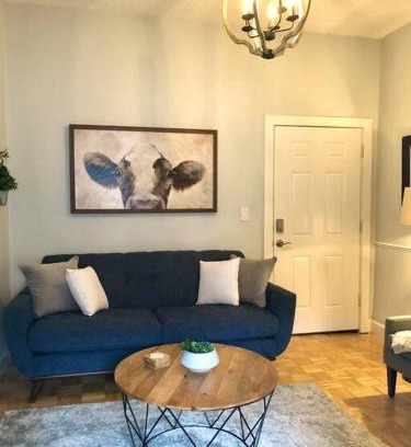 Downtown Dunedin Appartement | Overlooking Downtown Dunedin Two Bedroom apartment NO KIDS, NO PETS