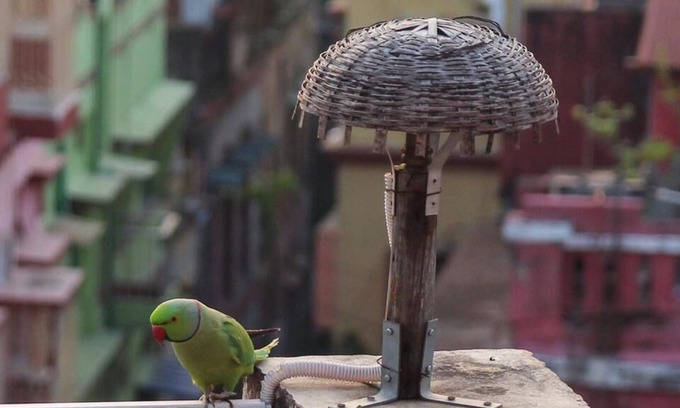 Kolkata Appartement | Owl's Nest: chambre mansardée